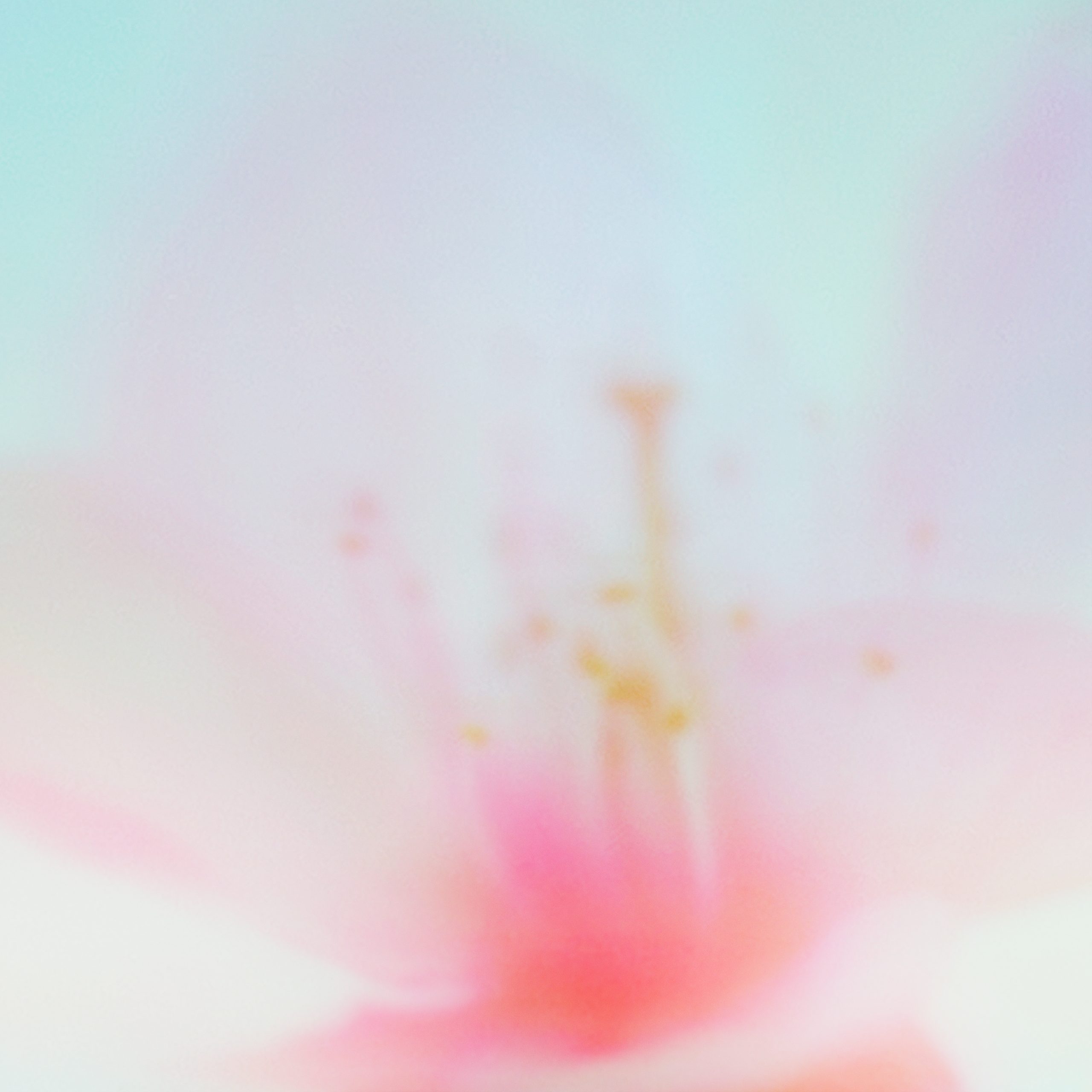 tonun 新曲「青い春に(Re-recorded)」2026.02.11 リリース